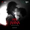 About Meri Jaana Song